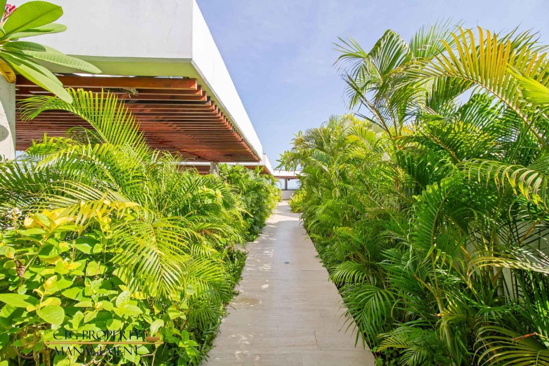 Martinique Cartagena, Beautiful 1 & 2 Bedroom Apartments Dış mekan fotoğraf